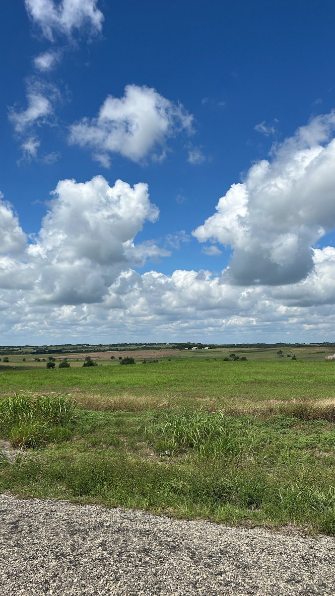 0xwillthetrill's tweet image. i’m in a really bad place right now. not like mentally, i’m just in the middle of nowhere Texas 🤠