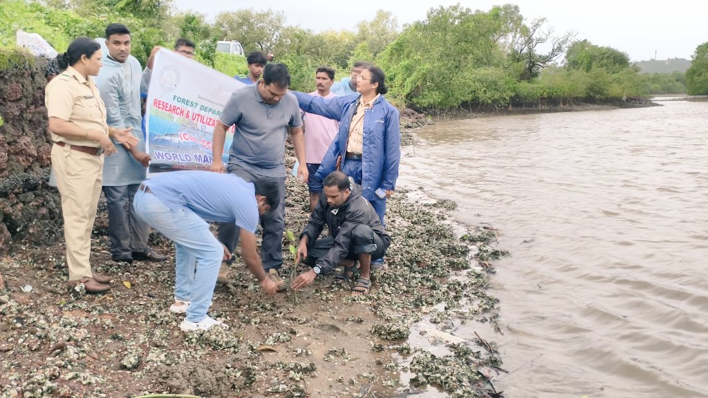 On the occasion of World Mangrove Day, Forest Department raises awareness about importance of the unique ecosystem and planted Mangroves in Navelim Village with the support of BMC.

#MangroveDay
