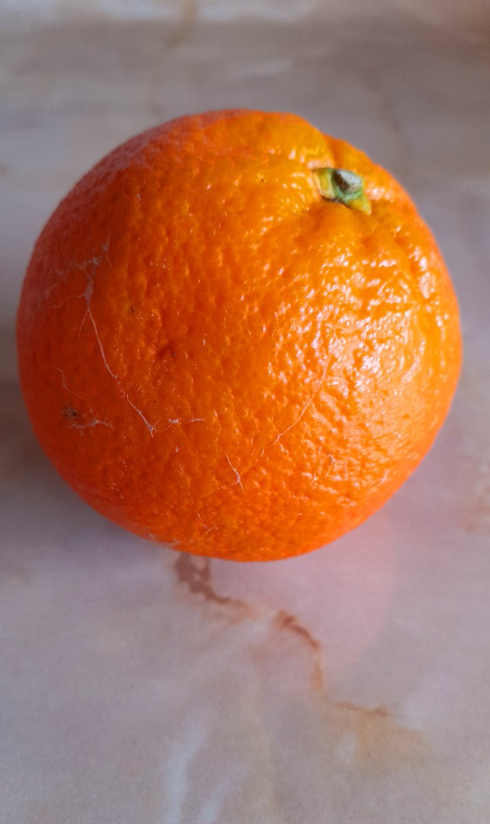 Sakari_D's tweet image. I promise I won&apos;t eat you 🍊