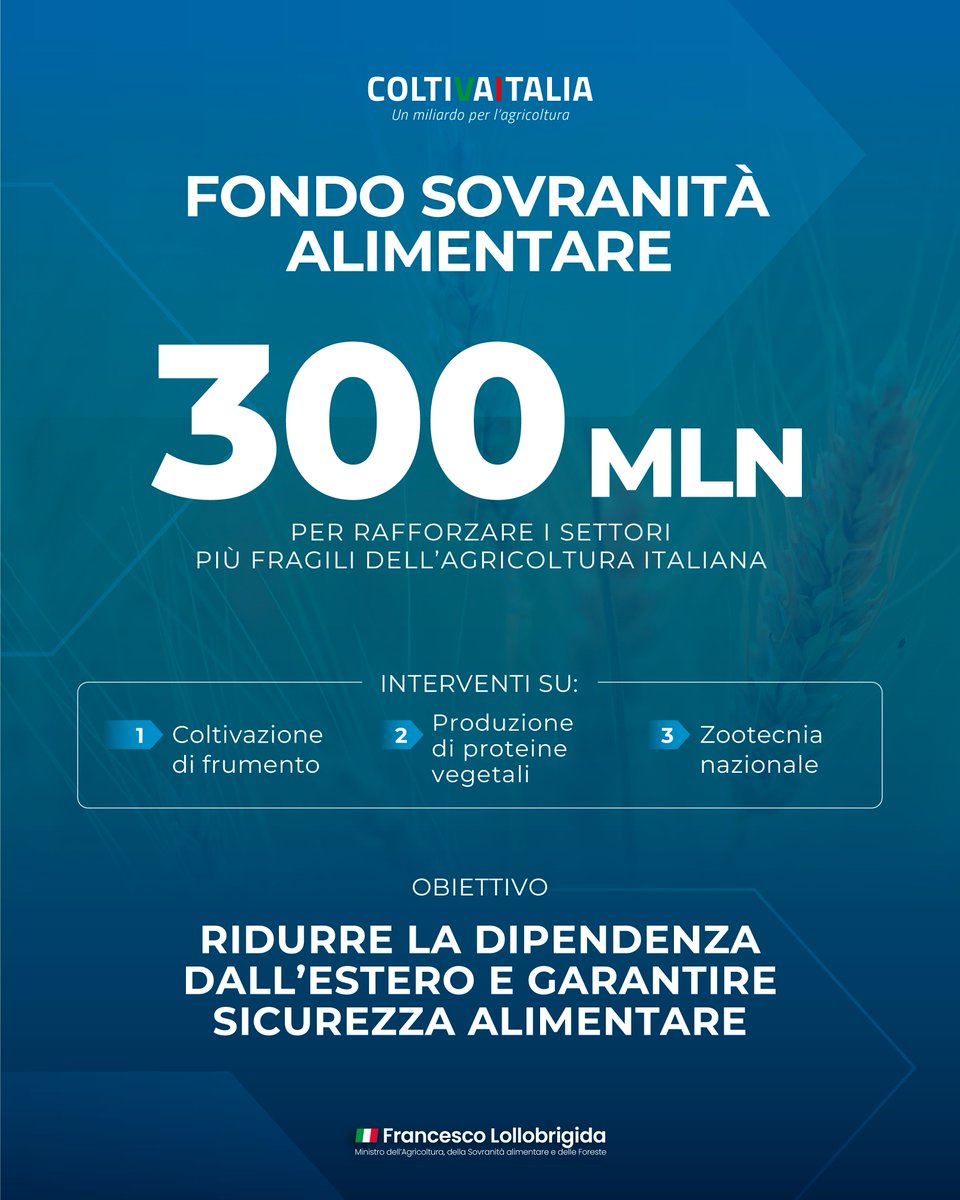 FrancescoLollo1's tweet image. 🇮🇹 Con #ColtivaItalia investiamo 300 milioni per rafforzare i settori più fragili dell’agricoltura italiana. L’obiettivo è chiaro: ridurre la dipendenza dall’estero e garantire la sicurezza alimentare della nostra Nazione, con un’agricoltura più forte, autonoma e strategica.