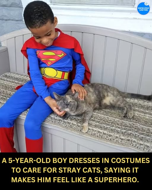JLM_Writes's tweet image. This is a job for... #Superman
