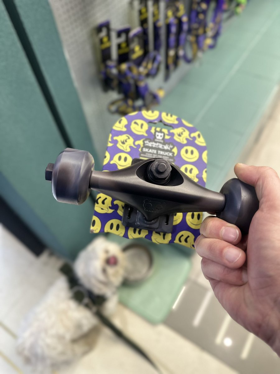 victorhvgo's tweet image. Tava na loja da zeedog e perguntei como instalava isso no cachorro aí a vendedora disse q é um brinquedo de morder ?
