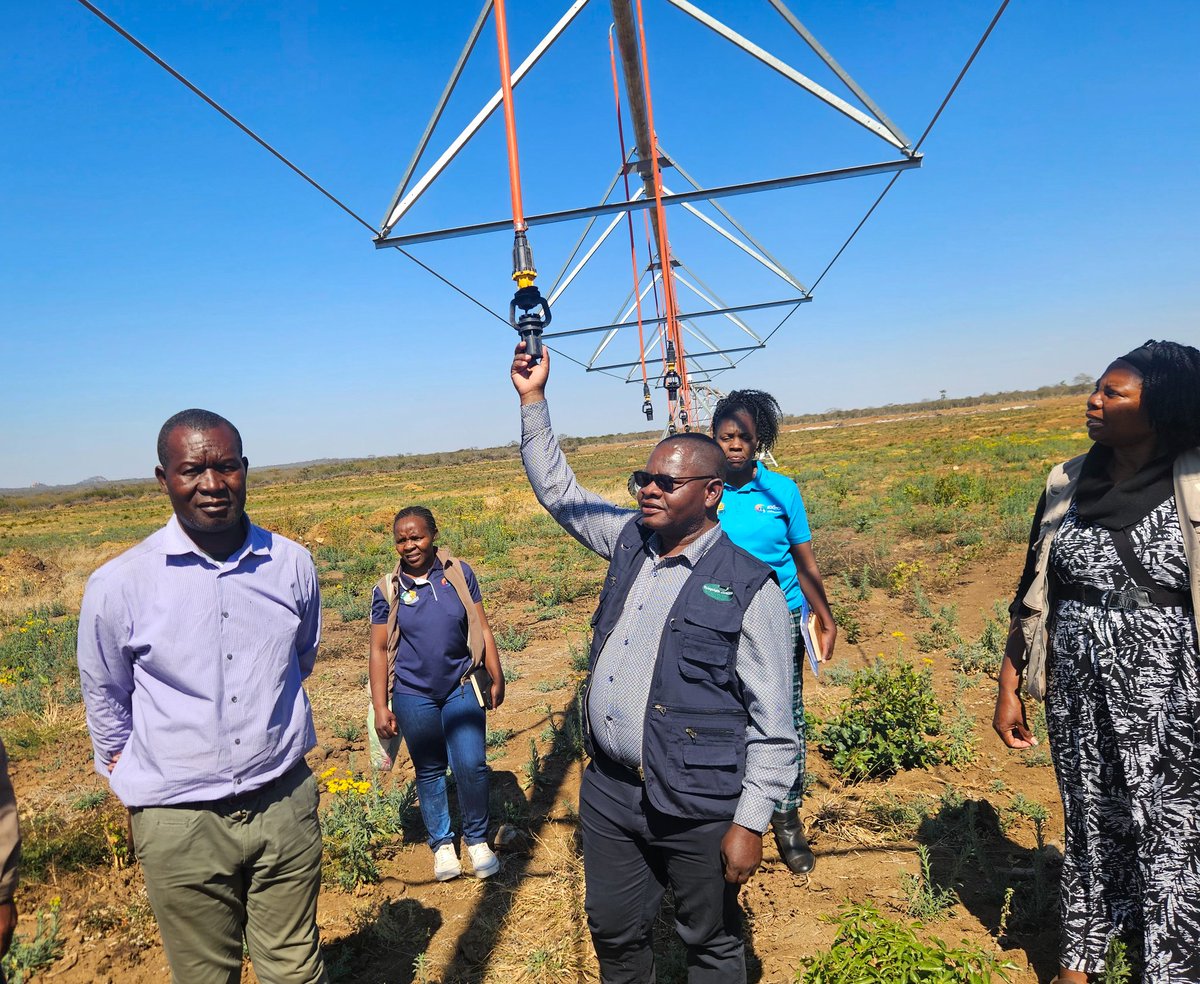 MoLAFWRD_Zim's tweet image. Today, PS Prof. Dr. Obert Jiri toured the Wanezi Dam in Insiza, a CAWEP-backed project fueling water security, food production & livelihoods for 12,000 people. With irrigation, piped water & fisheries, it's a dam economy model transforming rural Zimbabwe. #FoodSecurity