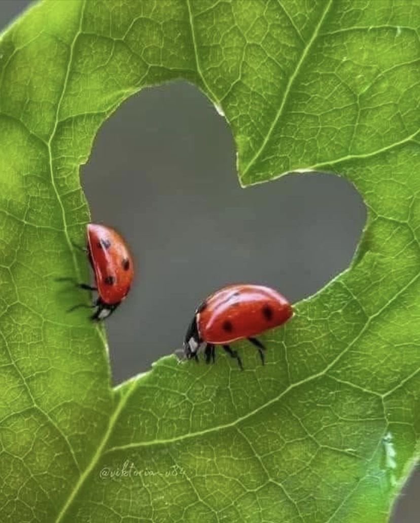 tagyourwho's tweet image. 