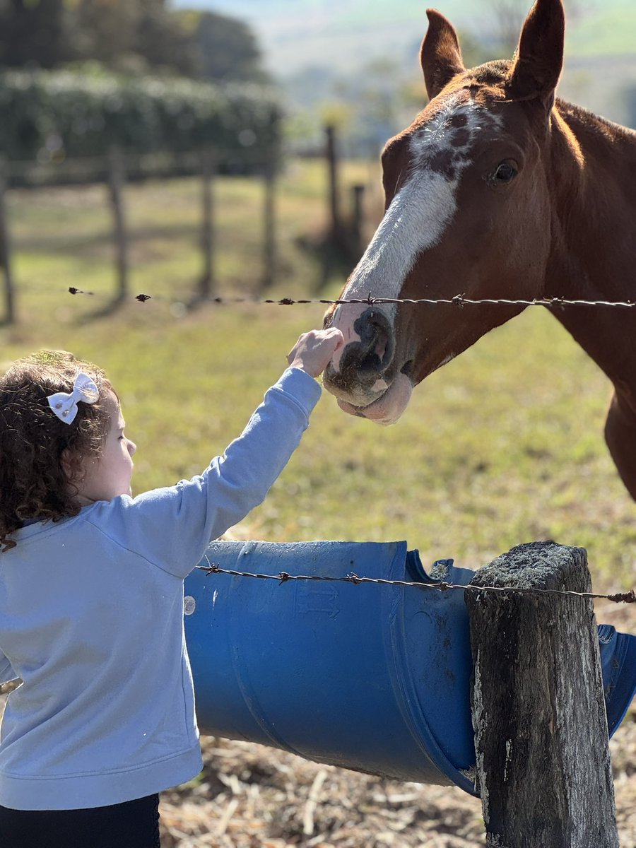DegenFounder's tweet image. Touching grass hits different when it’s generational 🐴