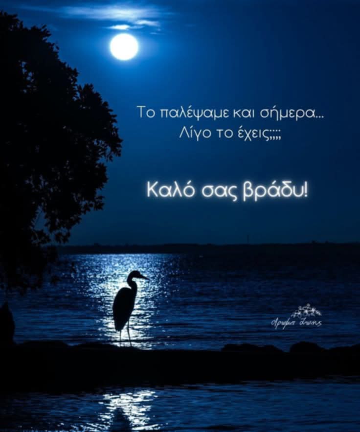 pRoxyLamp's tweet image. Καλό ξημέρωμα!!!
Κατά πόσον θα είναι καλό με μια
Ελλάδα να καίγεται!
🥲🥲🥲