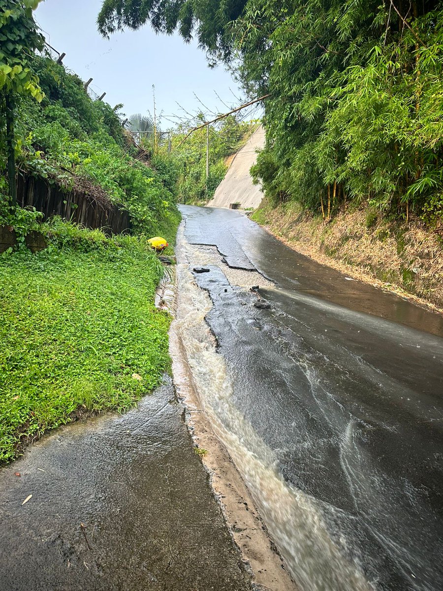QDoradas's tweet photo. @FOVIALITO En calle a Quintas Doradas, con cada lluvia se está incrementando el riesgo de perder la calle de acceso y nadie nos escucha. https://t.co/sRyNOA20Fi