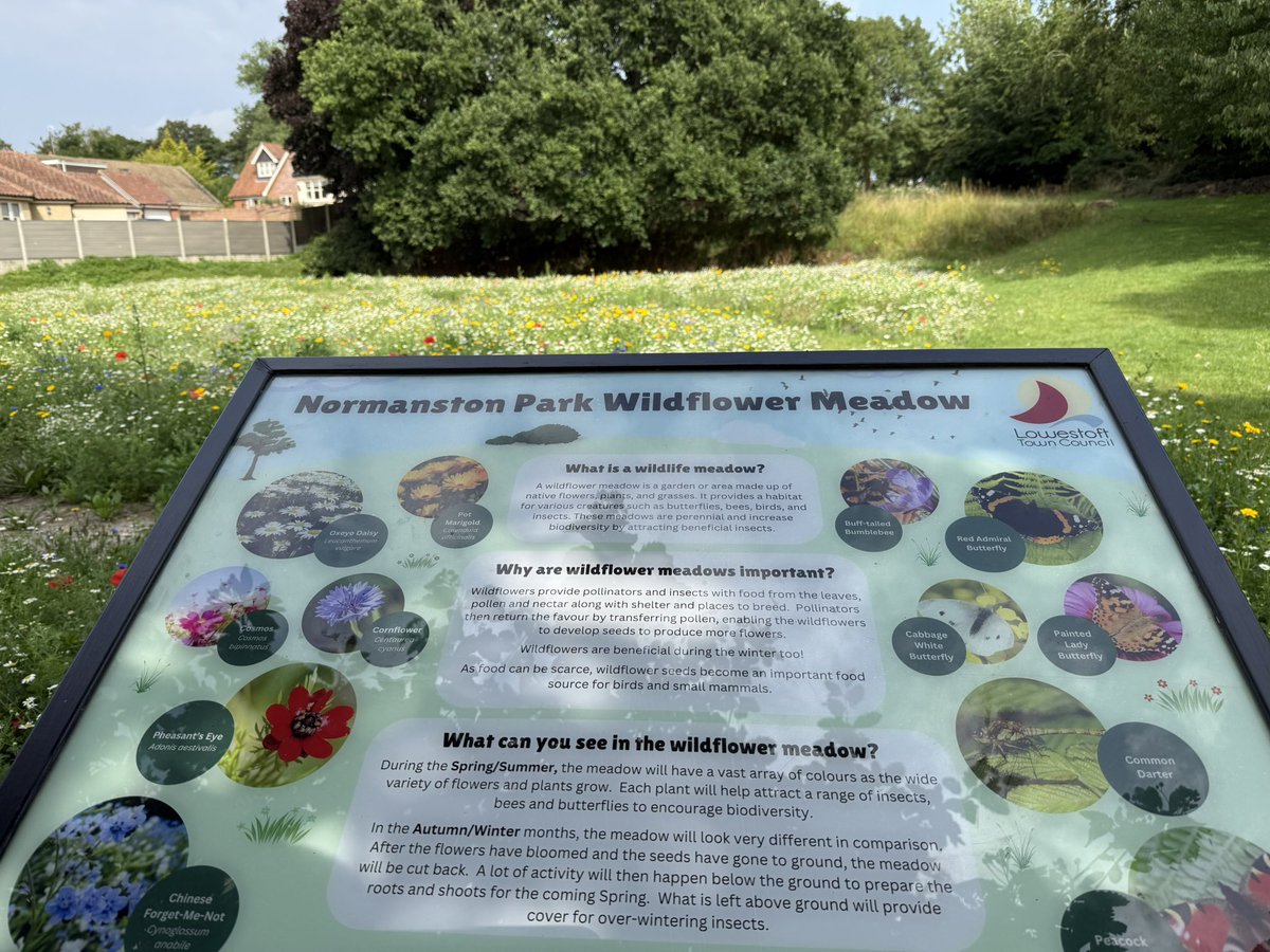 71PaulS's tweet image. Well today was a day.. started early scattering my mums ashes amongst the wildflowers in her favourite park. The Lions winning the series in Australia and a few beers after with my older brother after the game.. 🩵