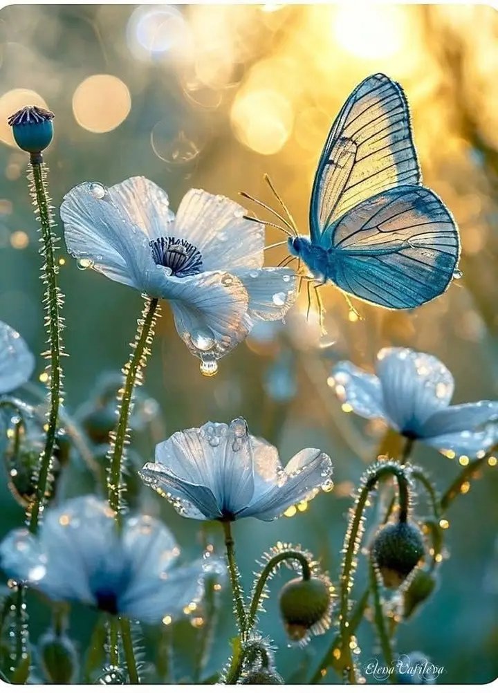 Fernand07219069's tweet image. 