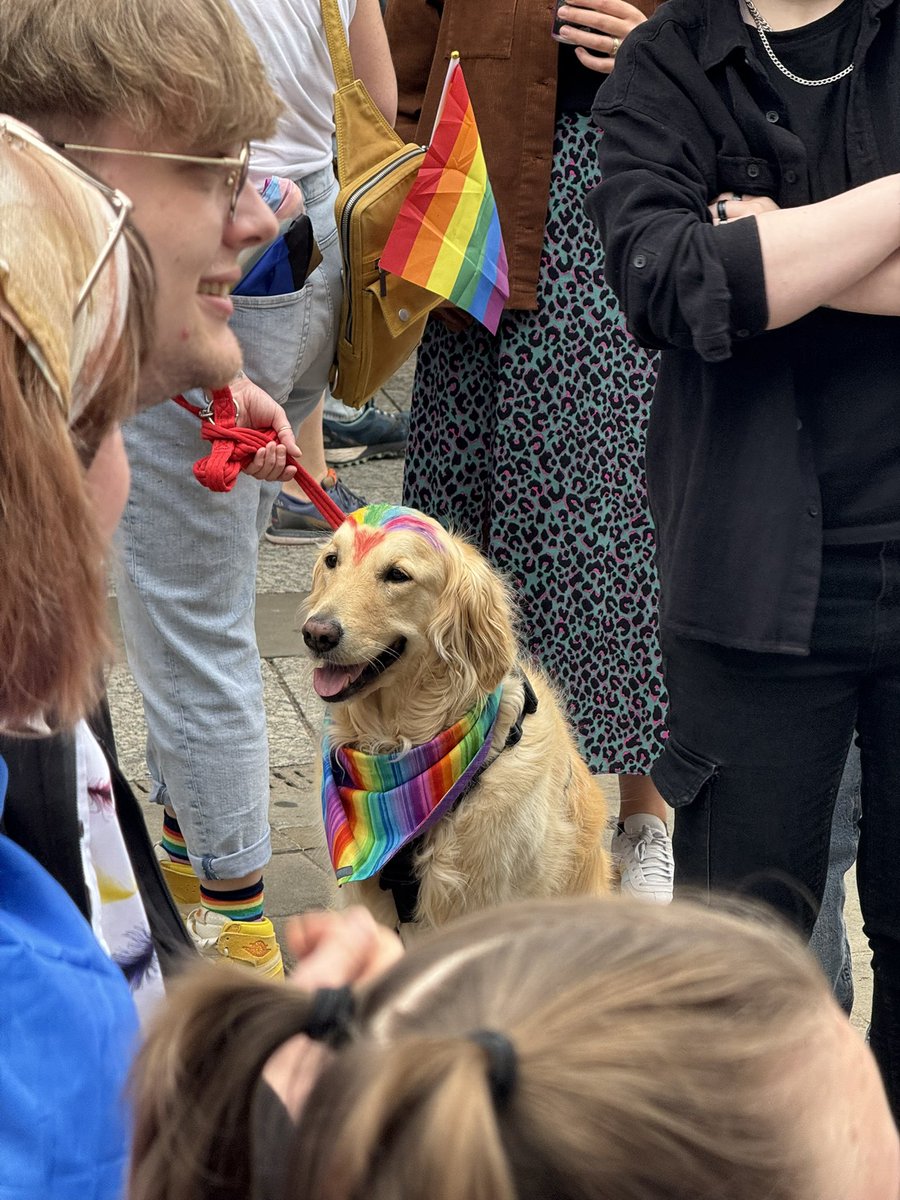 jakewilliamson4's tweet image. My fave photo from notts pride