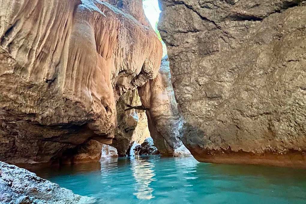 El proyecto “Cañones: ecosistemas poco estudiados”, realizado por estudiante de la #UdeG en el Cañón de Comala, busca incentivar el estudio de estas áreas naturales. 🌿🔍 Evalúa la calidad microbiológica del agua y los riesgos para la salud. 💧🌱 

🔗: url.udg.mx/a0DFG