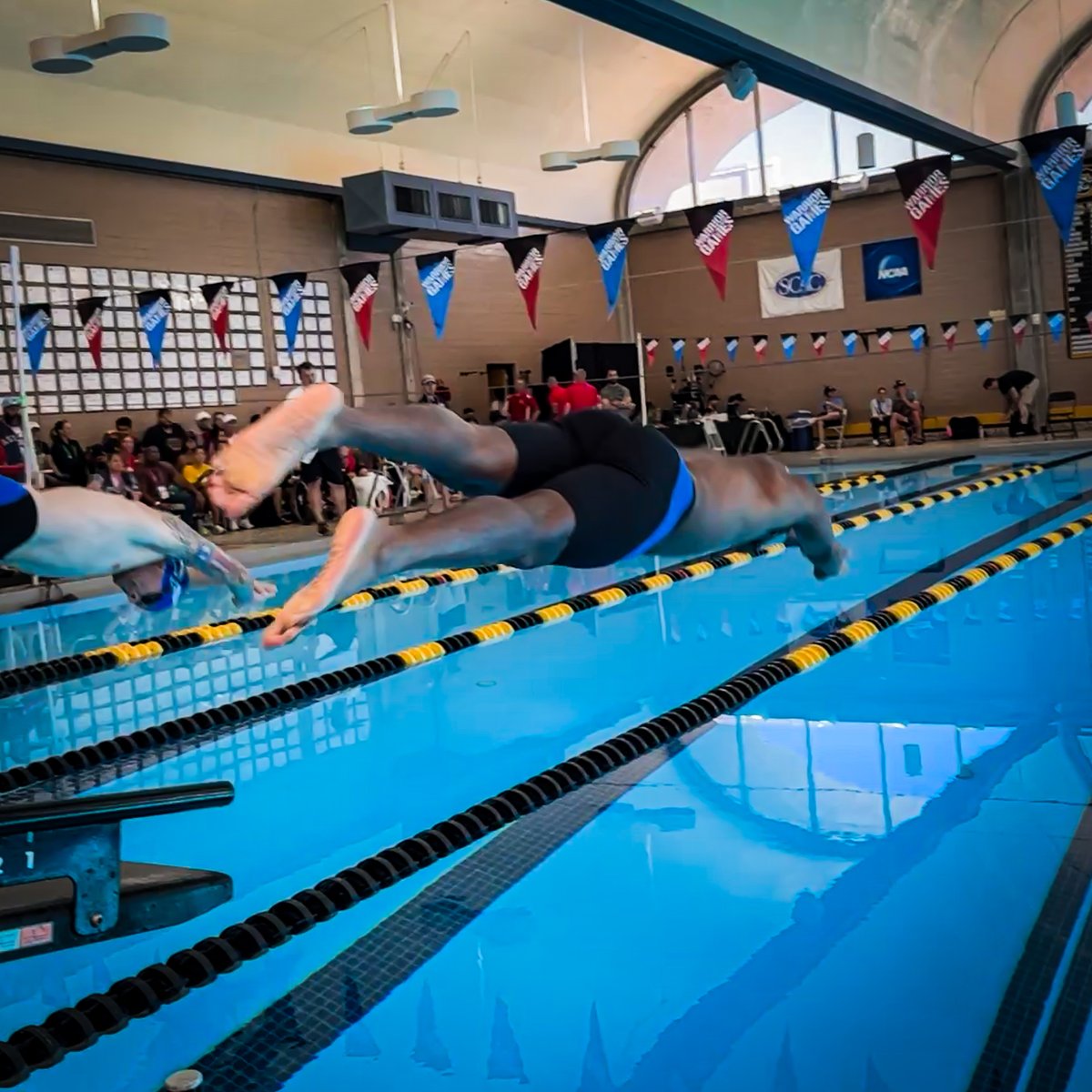 armyARCP's tweet image. Staff Sgt. Churchwell diving in for his freestyle.
#ARCP #Swimming #Limitless #WarriorGames #DWG2025 #TeamArmy #TeamArmy25