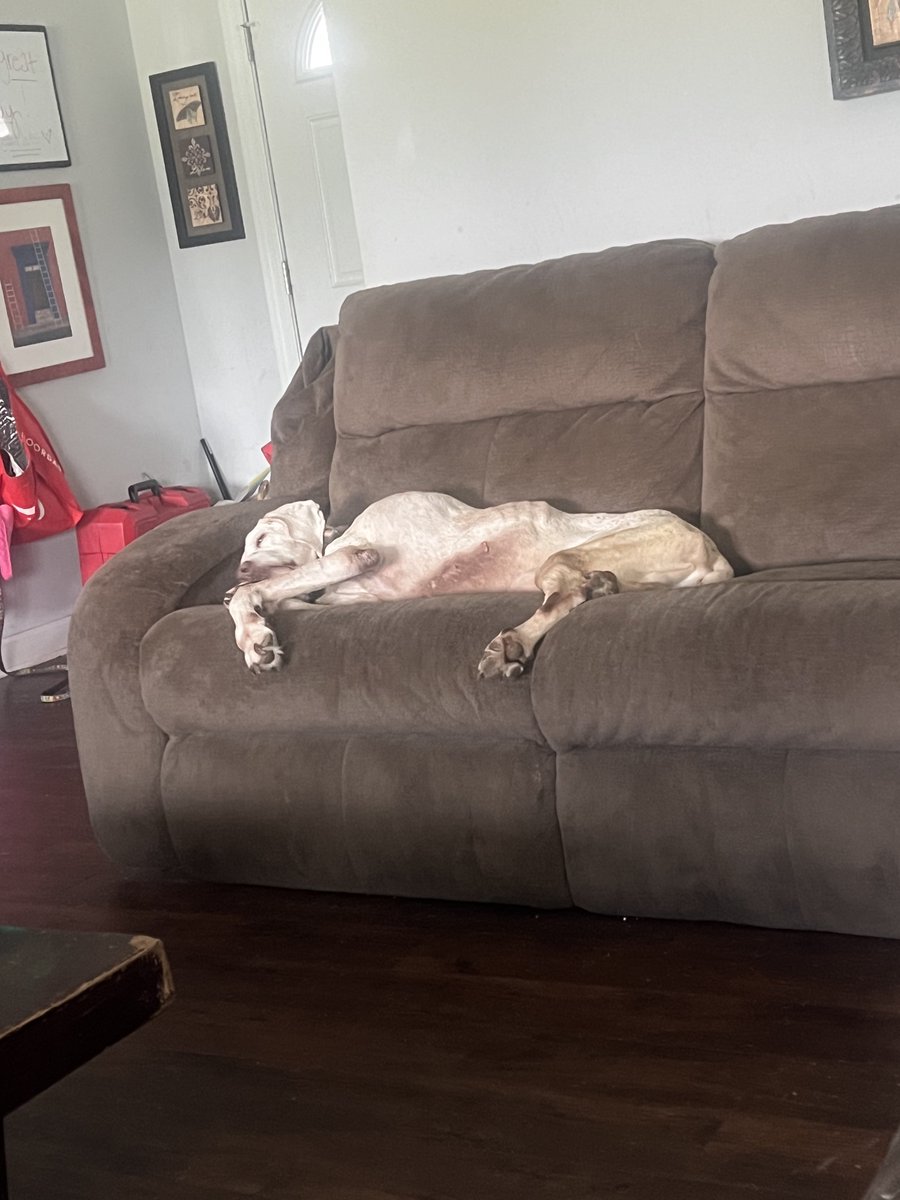 Thank you for being a loyal companion and friend for the last 15 years….. you have no idea how bad this hurts and how much I am going to miss you….