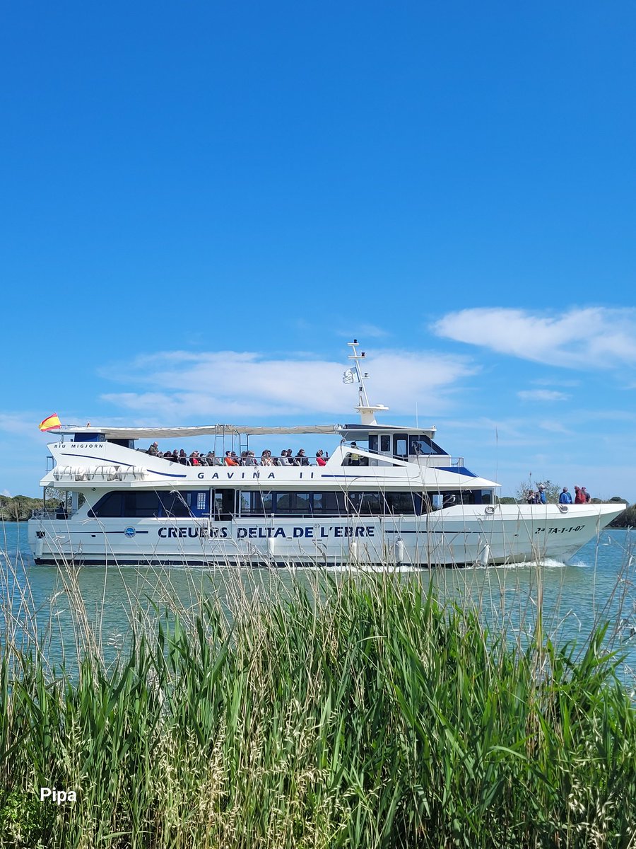 pipapipia's tweet image. Navigation on the Ebre River. In the Delta. Tarragona. Catalonia.