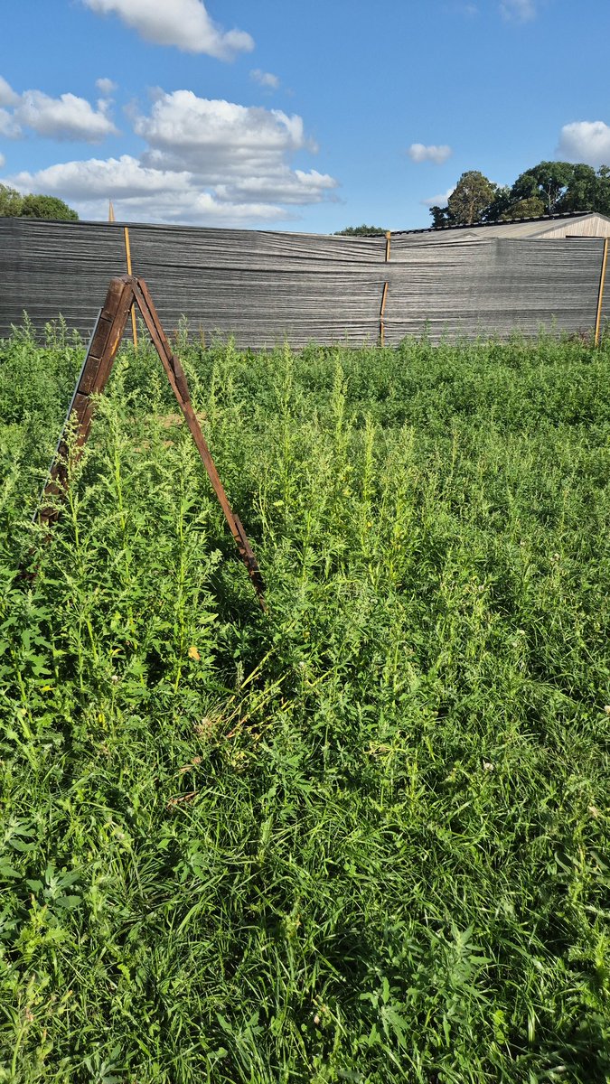 kejamieson_'s tweet image. It's not very often that I will publicly slate something, but today calls for it & I know some of my followers also use secure dog fields in the area.
Avoid Muddy Paws 'Secure' Fields in Trent.
You're better off, and safer, in the actual field behind the Rose & Crown!
