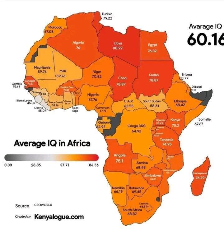 Abdikarindahirr's tweet image. ๐ฆ๐ถ๐ป๐ฐ๐ฒ ๐ญ๐ต๐ต๐ญ, ๐ฆ๐ก๐ ๐๐ฒ๐ฐ๐ฒ๐๐๐ถ๐ผ๐ป๐ถ๐๐ ๐ต๐ฎ๐๐ฒ been claiming the northern regions but They left nothing but low IQ
A recent study on IQ levels across Africa revealed that the population with the lowest average resides in northern Somalia
The secessionist eraโฆ