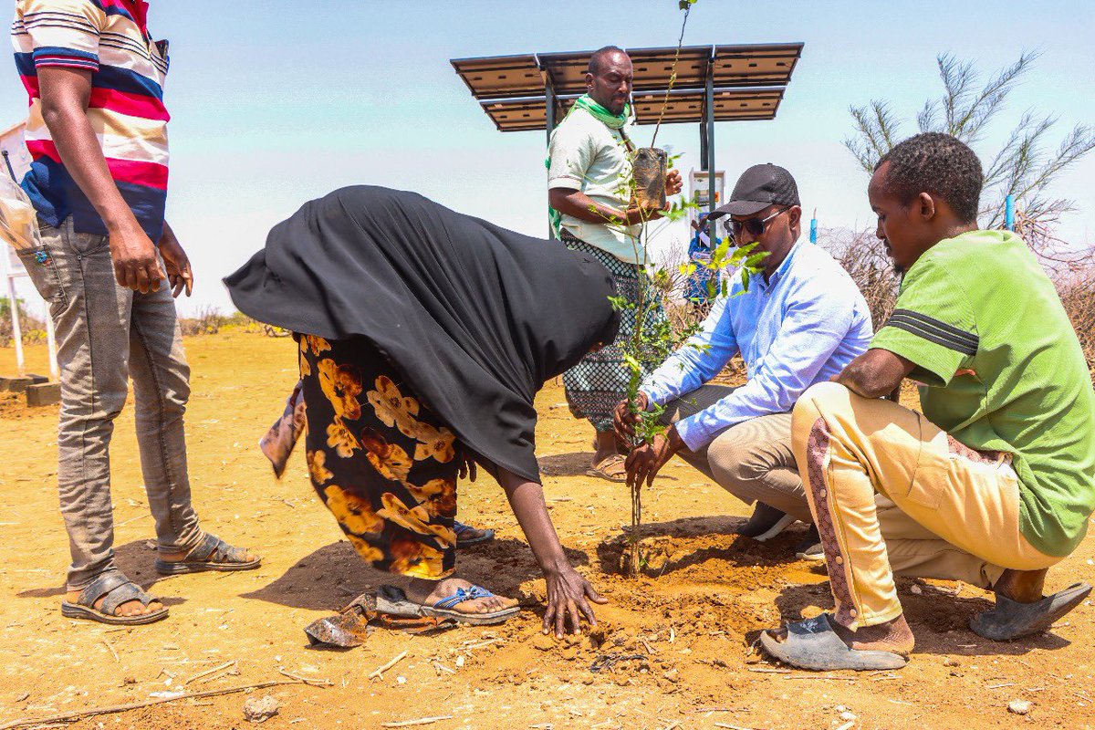 Safe water is back in Madina Village, Wajir West! 💧🌞
We replaced the borehole pump, Installation of new solar power system, built new water points for people &amp; animals, and trained operators.
Next: Community-led fencing, latrines, affordable water fees 4 sustainability.#SDG6