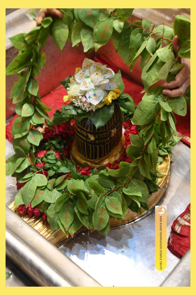 ShriVishwanath's tweet image. आज श्री काशी विश्वनाथ जी की श्रृंगार आरती I
#kashivishwanath #kashi #sanatandharma #banaras