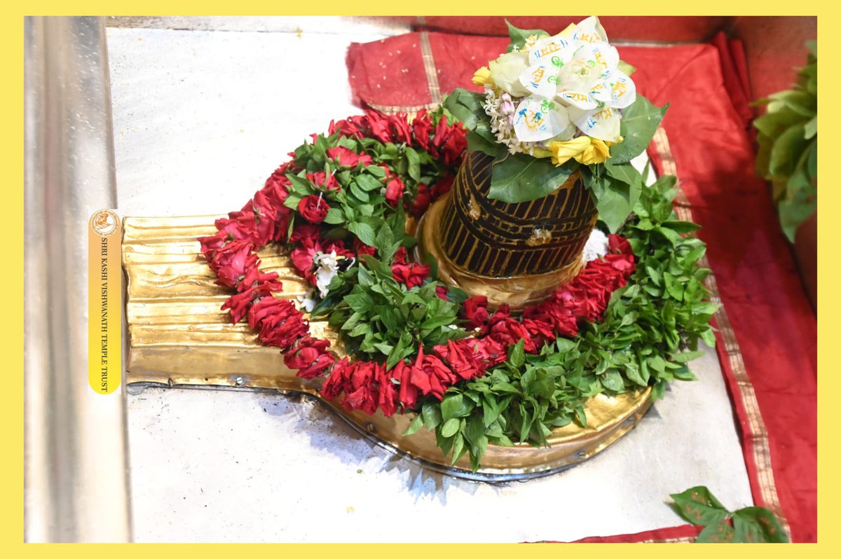 ShriVishwanath's tweet image. आज श्री काशी विश्वनाथ जी की श्रृंगार आरती I
#kashivishwanath #kashi #sanatandharma #banaras
