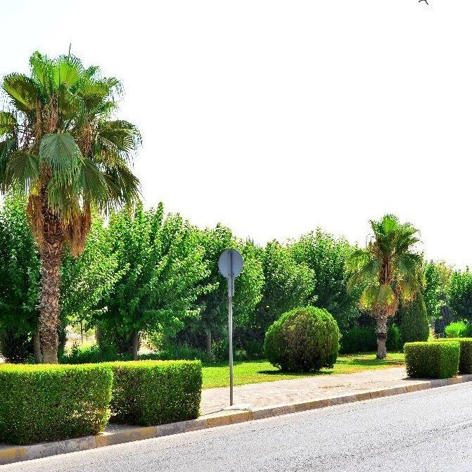 جولة في شارع زاكروس بمدينة #أربيل عاصمة إقليم #كوردستان الذي يزدان بمشاهد طبيعية خلابة، حيث تزيّنه 637 شجرة متنوعة، ما يضفي عليه جمالاً فريداً واستثنائياً