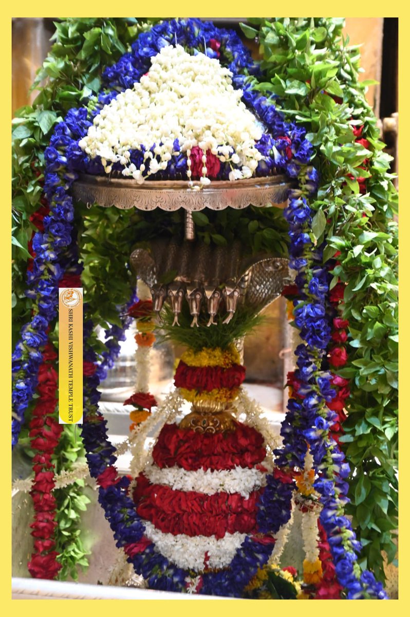 ShriVishwanath's tweet image. आज श्री काशी विश्वनाथ जी की शयन आरती I
#kashivishwanath #kashi #sanatandharma #banaras