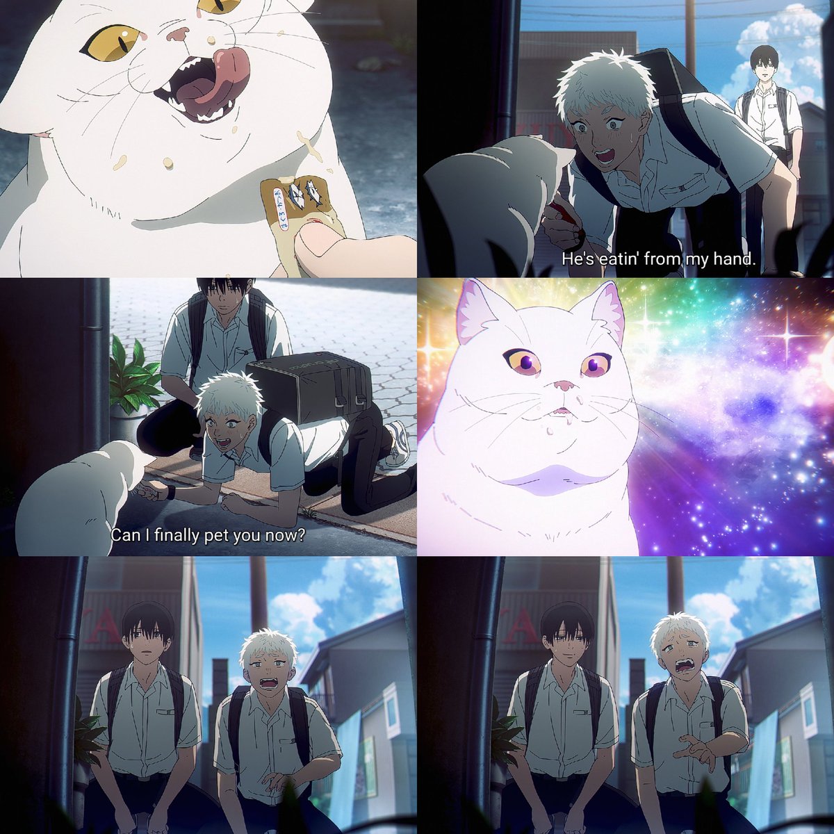suwatsonn's tweet image. Please, he's just a kitty who wants to be friend to another kitty ππ©΅πΎ
#ε
γζ»γγ ε€
#TheSummerHikaruDied
#HikarugaShindaNatsu