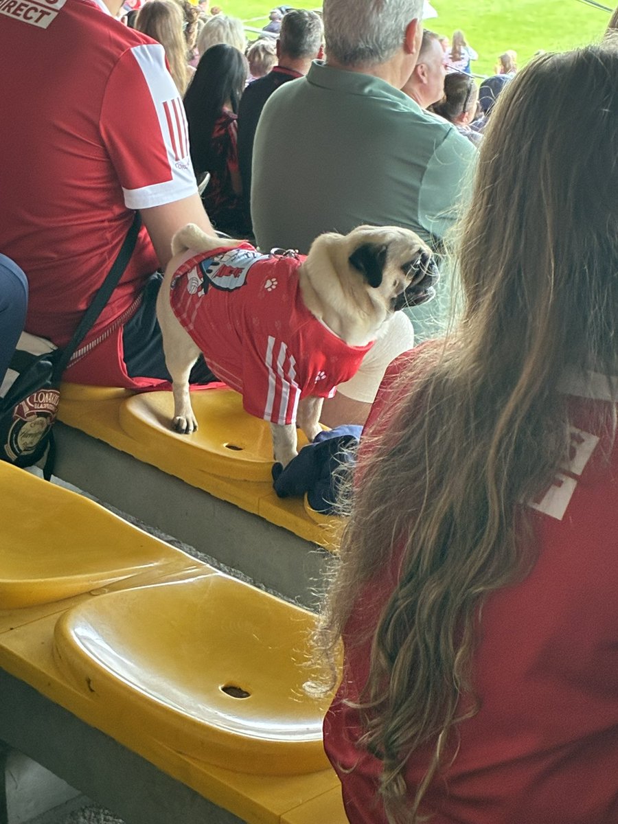 Tense spectator at Cork vs Waterford camogie semi