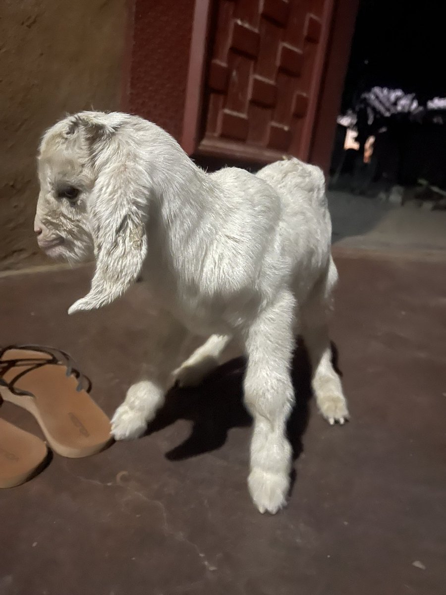 Vie_matongo's tweet image. We have a new baby. A big girl ❤️