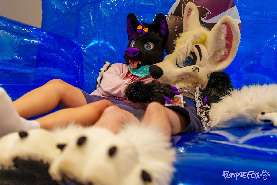Come join us! Let’s make a cuddle pile 💜🐾