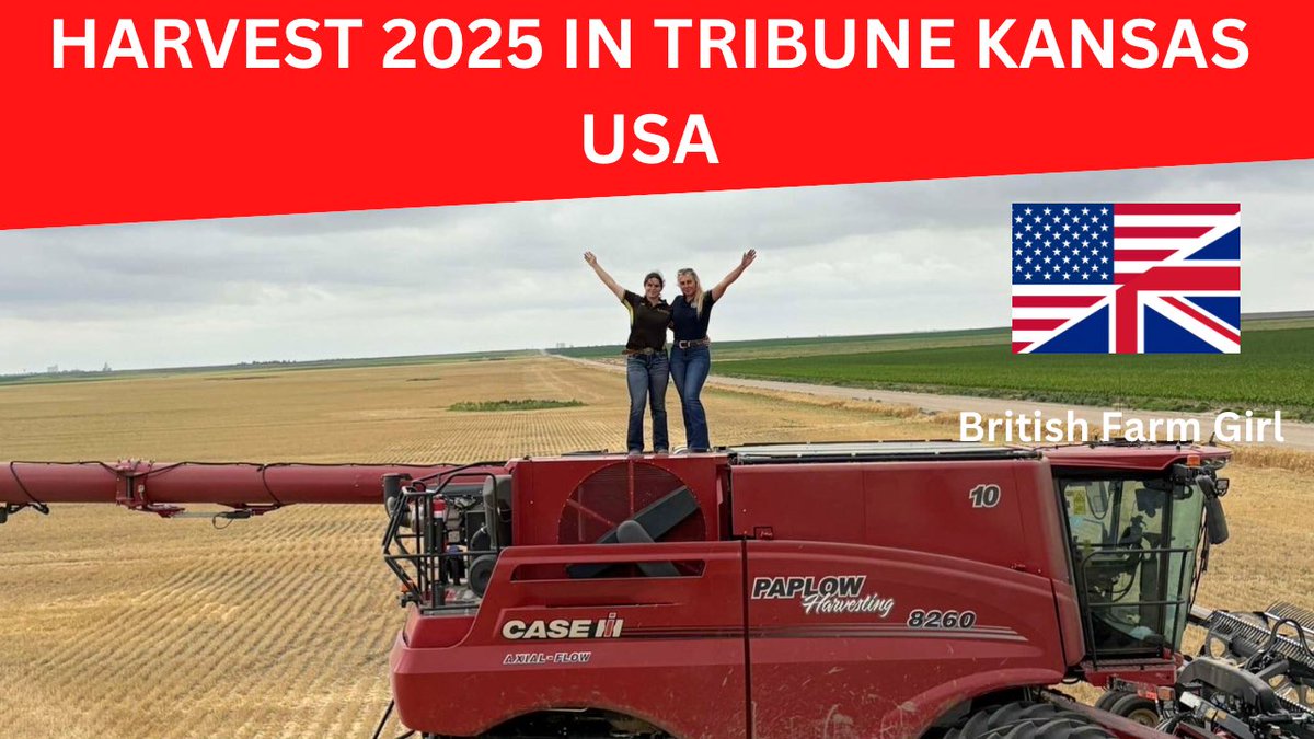 LittleBigFarm's tweet image. Click the link below to follow my journey in the USA 👇

youtu.be/4IGHt89Xl6k?si…
