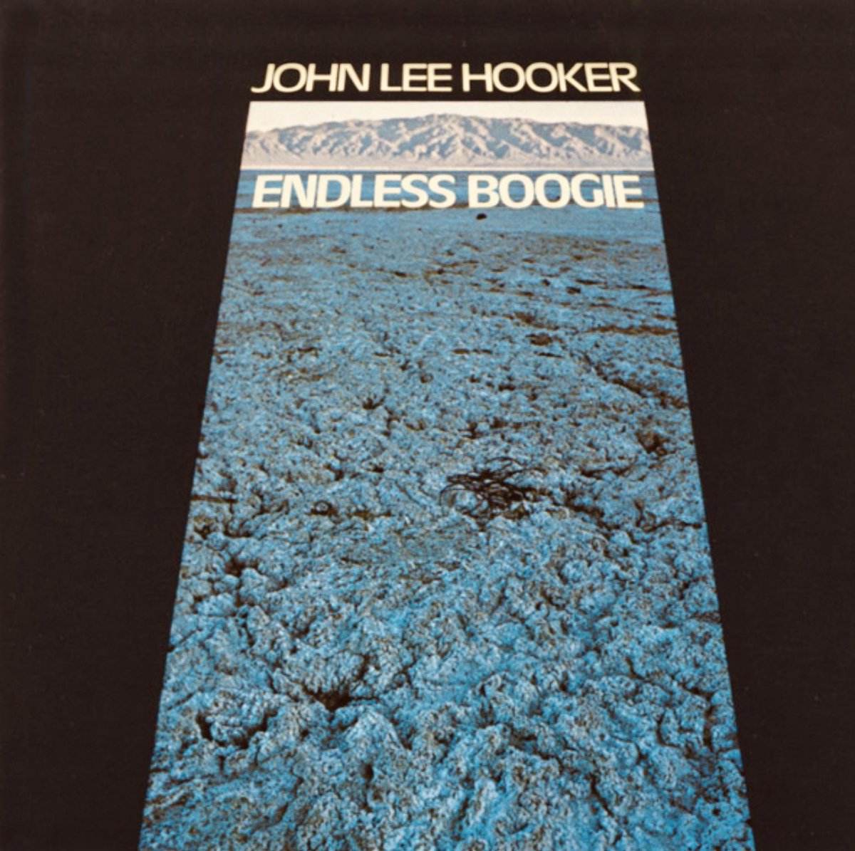 pgonzontight's tweet image. John Lee Hooker. (1971)