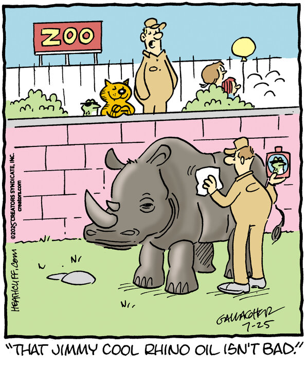 actual heathcliff comics (@realheathcliffs) on Twitter photo 25 Jul 2025 25 Jul 2025
