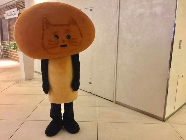 oaotol's tweet image. 렛츠고가 혹시 침대로 가는 거였나요 나는 잠 다 깼는데