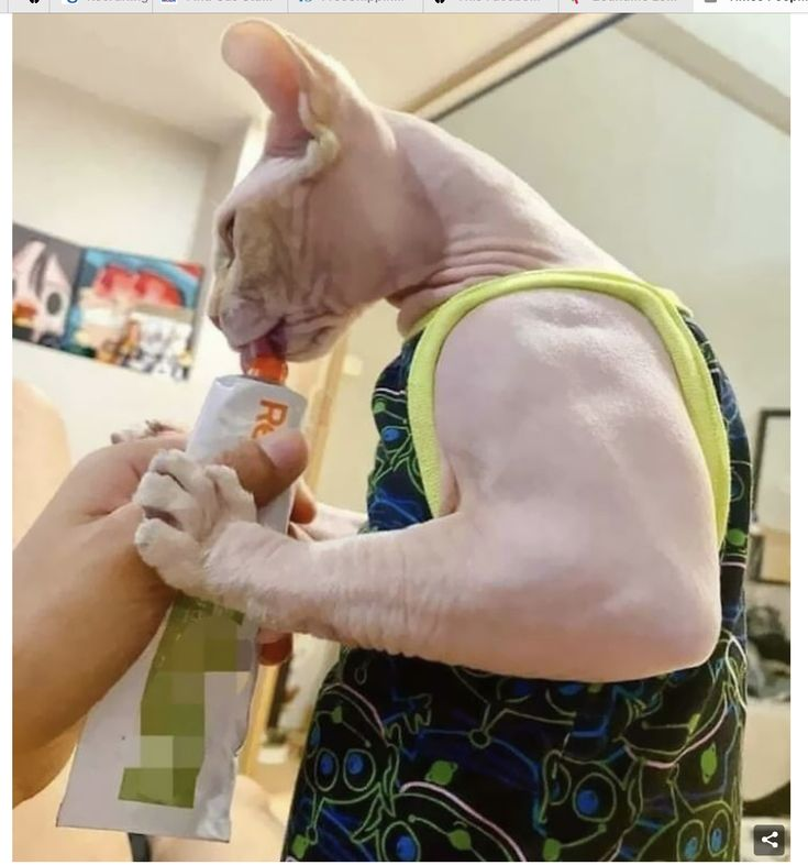 ... (@number1xooger) on Twitter photo 