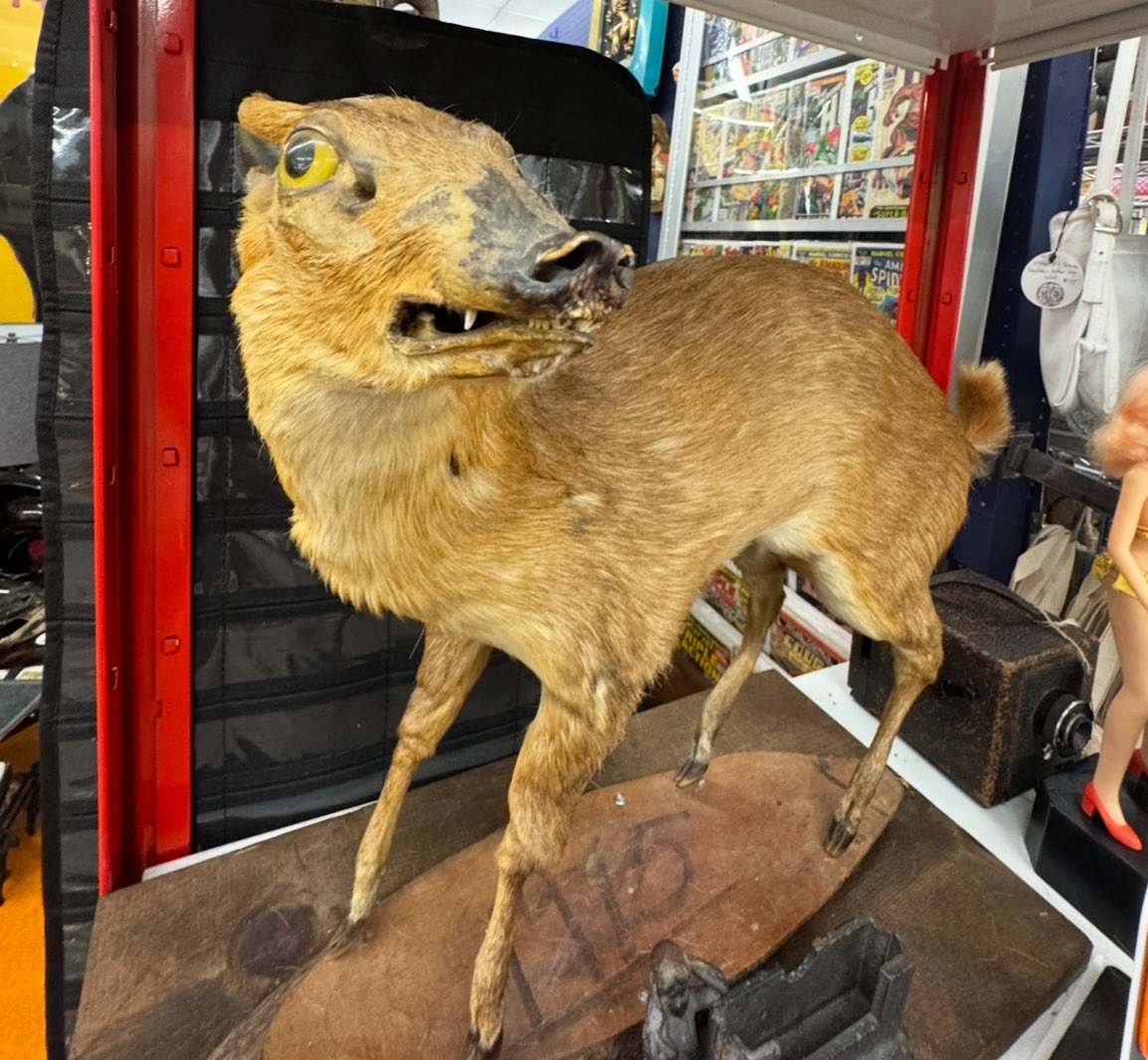 creaits_'s tweet image. obsessed with whatever the hell this thing is