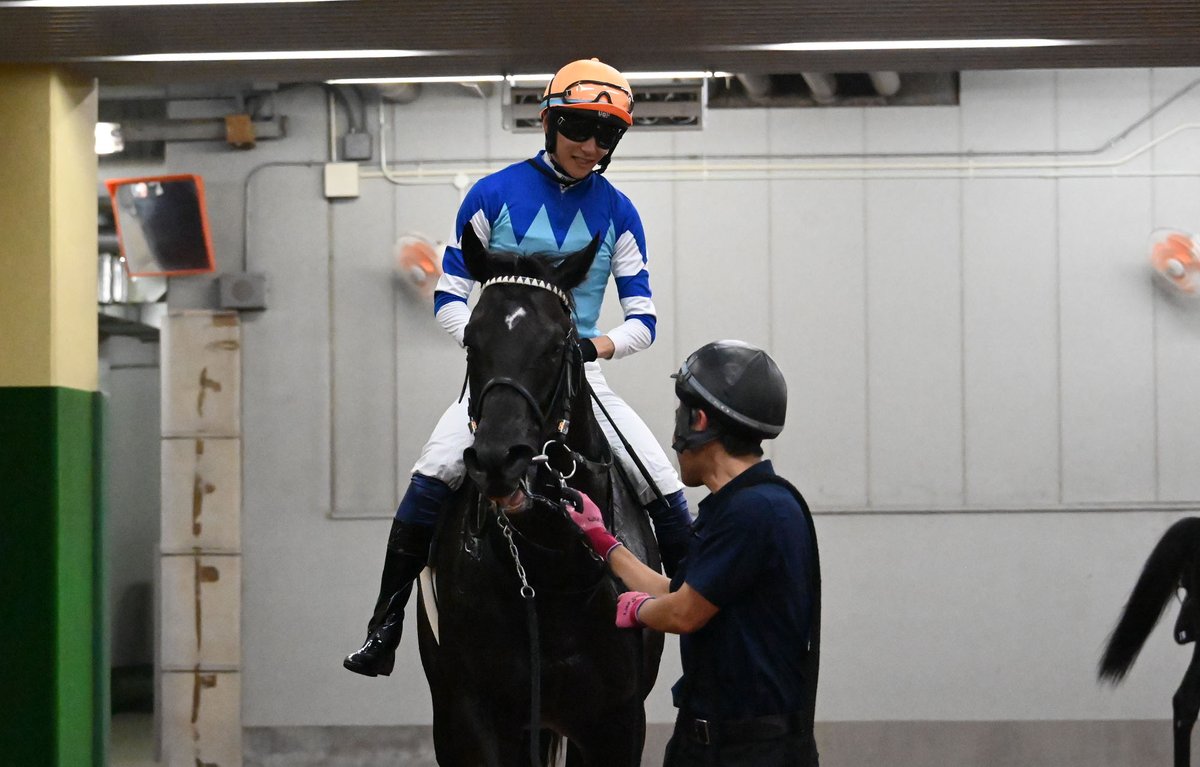 netkeiba's tweet image. 中京7R 関ケ原S 3歳上3勝
#グランヴィノス
#坂井瑠星
父キタサンブラック
母ハルーワスウィート
兄姉ヴィルシーナ/シュヴァルグラン/ヴィブロス
中京8R 遠州灘特別 3歳上2勝
#パルクリチュード
#松山弘平
父Gun Runner
母グローバルビューティは🇦🇷亜G1馬