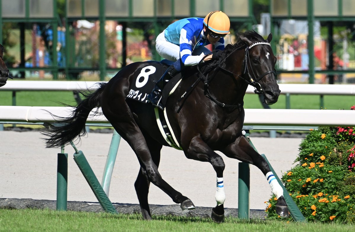 netkeiba's tweet image. 中京7R 関ケ原S 3歳上3勝
#グランヴィノス
#坂井瑠星
父キタサンブラック
母ハルーワスウィート
兄姉ヴィルシーナ/シュヴァルグラン/ヴィブロス
中京8R 遠州灘特別 3歳上2勝
#パルクリチュード
#松山弘平
父Gun Runner
母グローバルビューティは🇦🇷亜G1馬