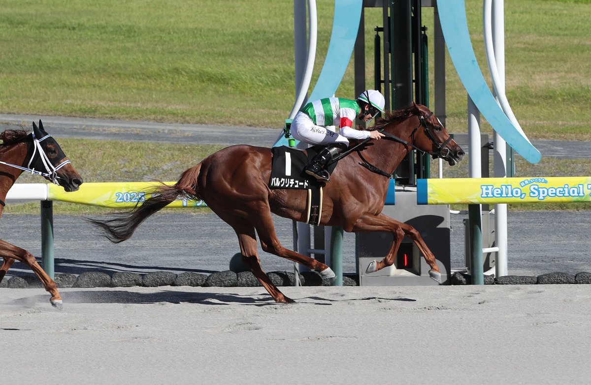 netkeiba's tweet image. 中京7R 関ケ原S 3歳上3勝
#グランヴィノス
#坂井瑠星
父キタサンブラック
母ハルーワスウィート
兄姉ヴィルシーナ/シュヴァルグラン/ヴィブロス
中京8R 遠州灘特別 3歳上2勝
#パルクリチュード
#松山弘平
父Gun Runner
母グローバルビューティは🇦🇷亜G1馬