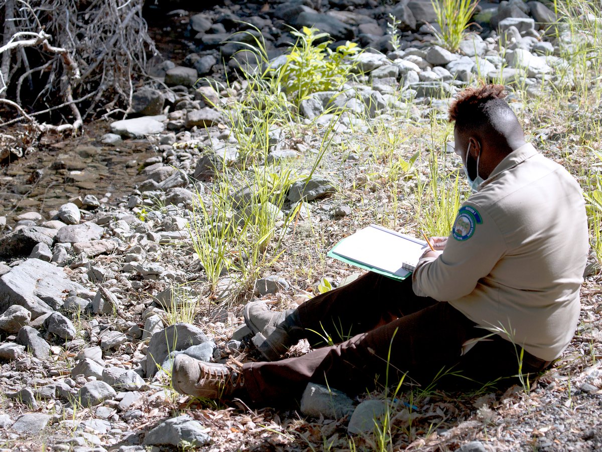 ucanr's tweet image. Applications are now open for Audubon Canyon Ranch’s 2026 Certified California Naturalist course!
Explore California’s incredible ecology in a welcoming, community-centered program—open to all.
🗓 Apply by Oct. 27
bit.ly/3H3bhhA