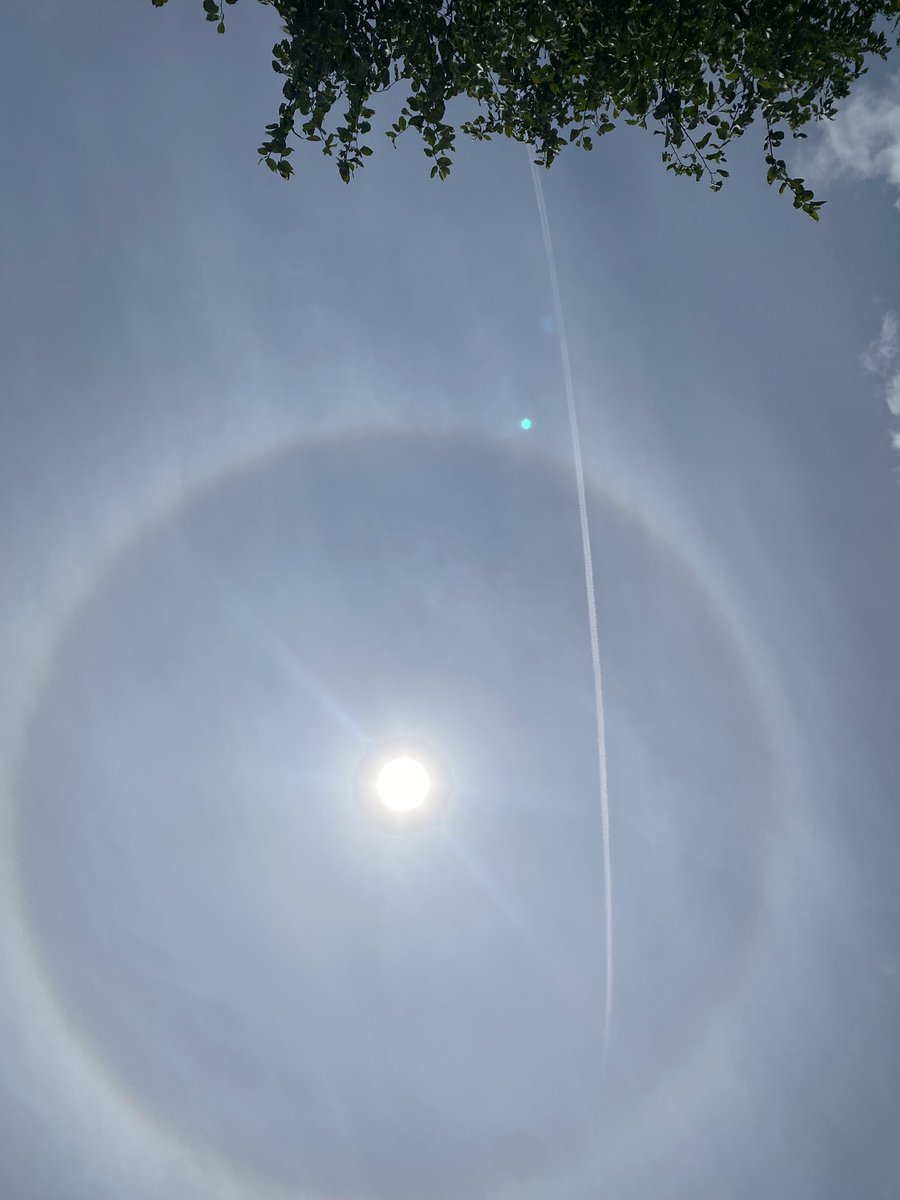 rgfray1's tweet image. Yes I have started drinking already today but, is it just me, or is there a big ass ring around the Sun right now…?