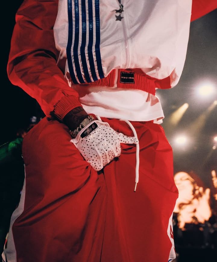 Davidomedia1's tweet image. The gloves 🧤 worth a fortune #5iveAliveTour