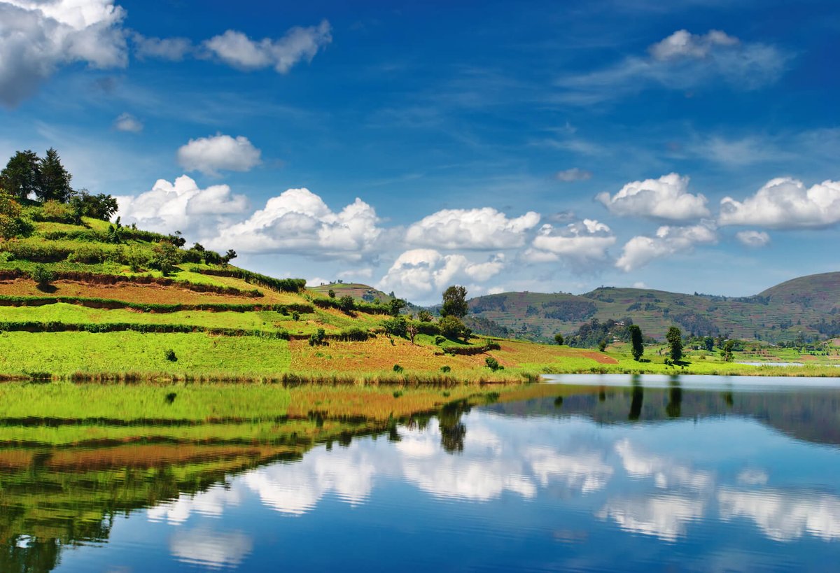 SecretFlying's tweet image. #Budapest, Hungary to Entebbe, Uganda for only €328 roundtrip with Brussels Airlines #Travel
secretflying.com/posts/budapest…
