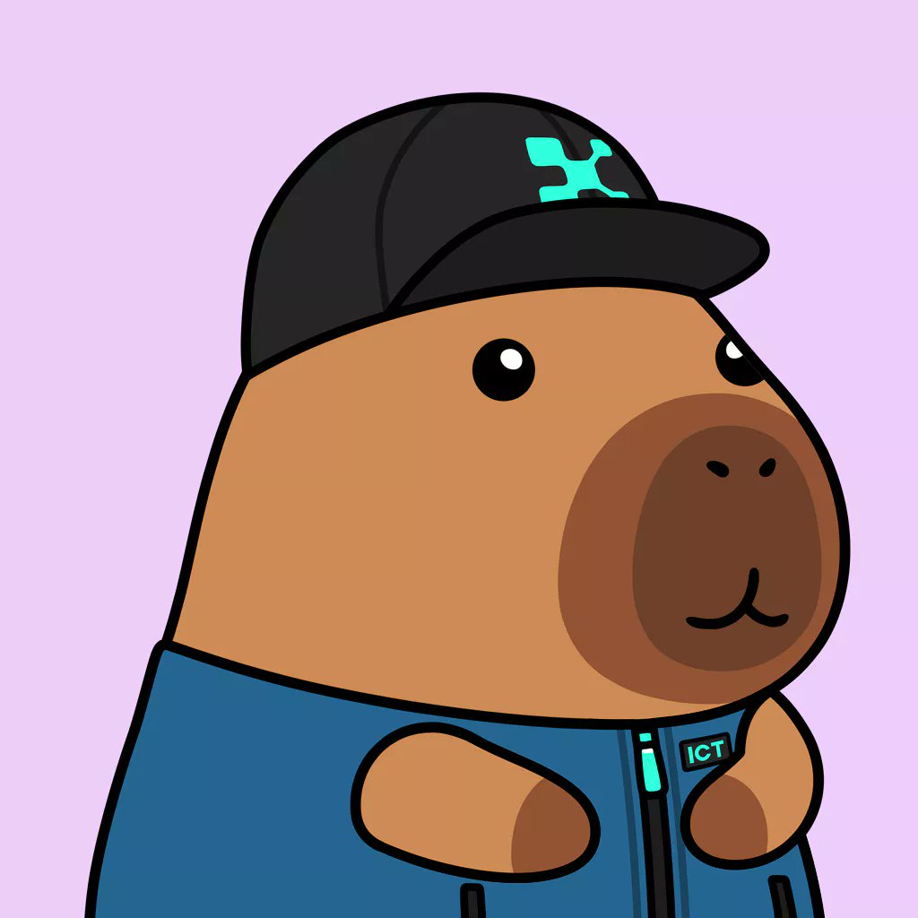 Monti 🍌 tweet media