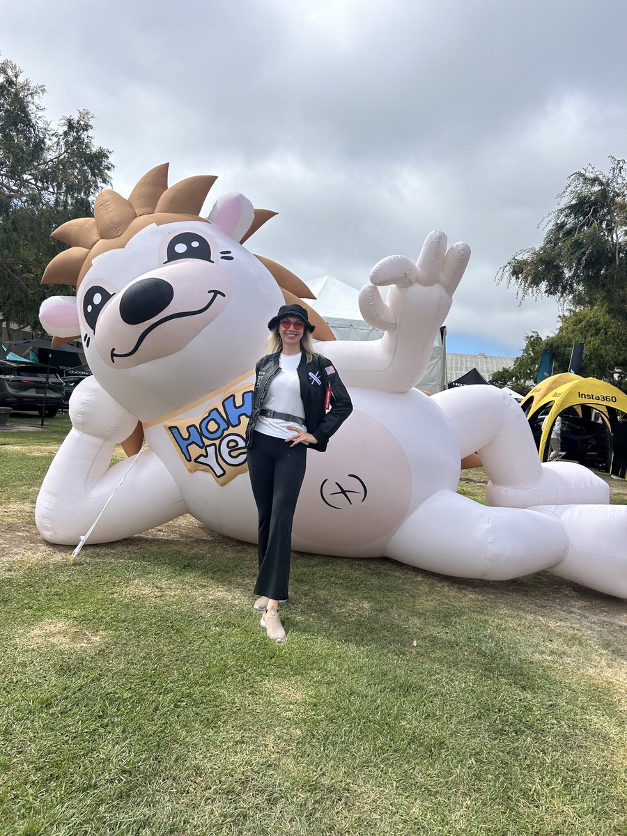 ⁦@hahayesonsol⁩ #xtakeover