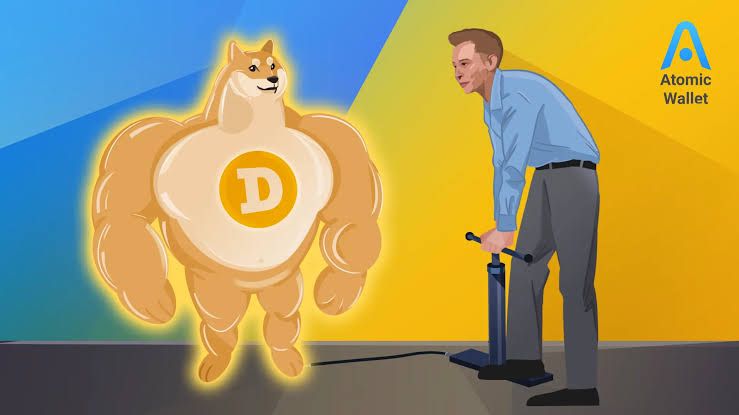 Buff Doge Coin tweet media