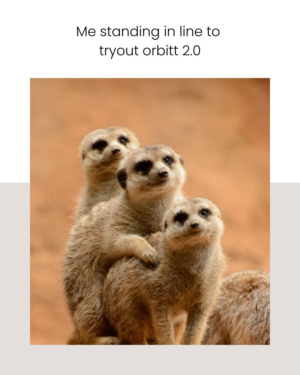 I had to pull up when i heard 
"one Telegram bot:
t.me/OrbittMM_1_bot doing it all? "
am like say less,
am not missing this
joined the queue.
<a href="/orbitt_ai/">Orbitt</a> cooking fr.
#ORBTchampion