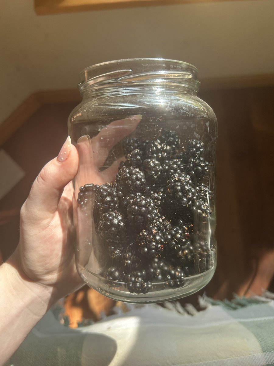 spittingclots's tweet image. going outside to pick fruit in order to make breakfast with said fruit is top 10 feelings ever