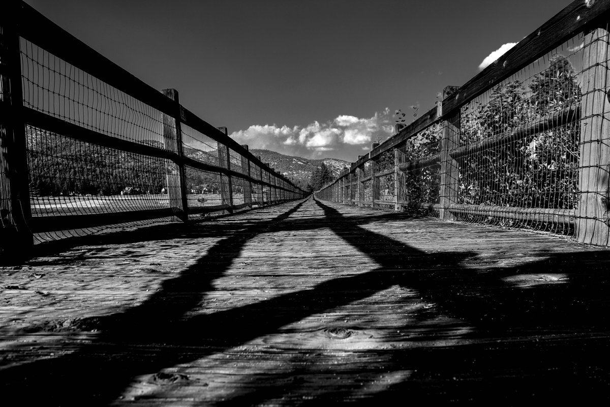 JoeZImages's tweet image. A late gm to everyone. Wishing you all an amazing weekend. Get out and see something special. #photooftheday #photographer #PhotographyIsArt #photograghy