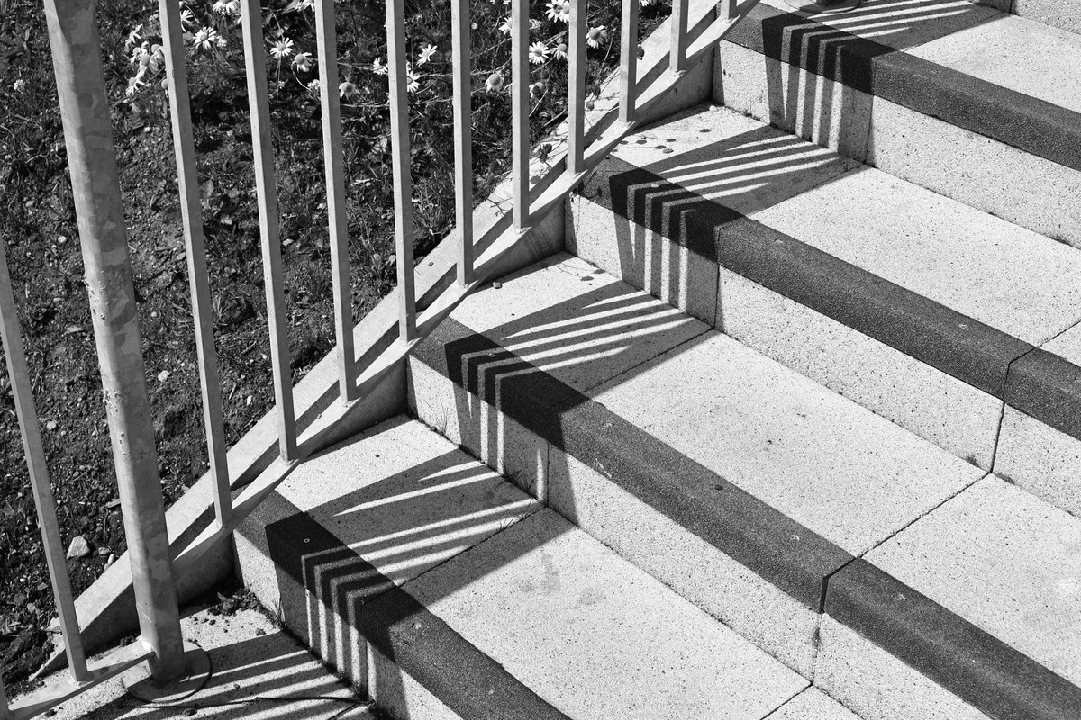 solidbond's tweet image. #gallery365in2025saturdaymono
@Gallery365photo #saturdaystaircase