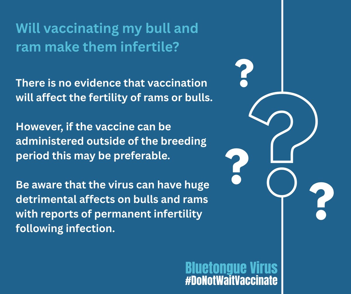 SaraPedersen3's tweet image. There are alot of myths & misinformation circulating about the risks of Bluetongue vaccination. Make sure you make an informed choice based on the facts.
#DoNotWaitVaccinate
#NacOedwchBrechwch
#BattleBluetongue